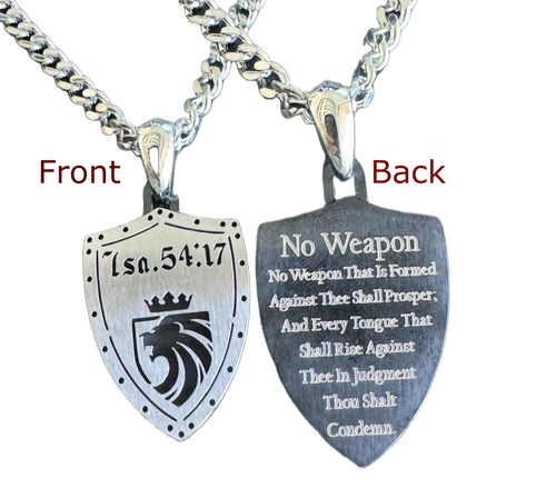 1611 No Weapon Shield